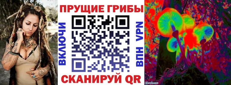 Галлюциногенные грибы Psilocybe  купить наркоту  Долгопрудный 